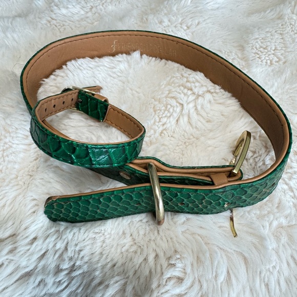 FriendshipCollar Other - FriendshipCollar LE Snake Skin-like Emerald Green Leather Dog Collar set